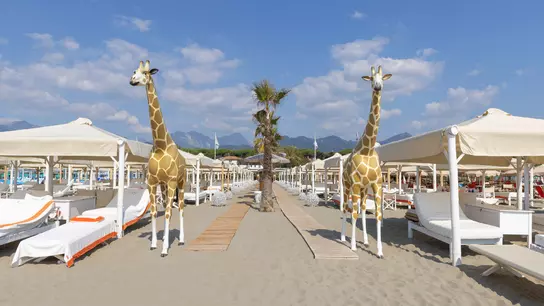 Vimar Sicurezza Elvox Tvcc Twiga Beach Club Giraffe Ingresso